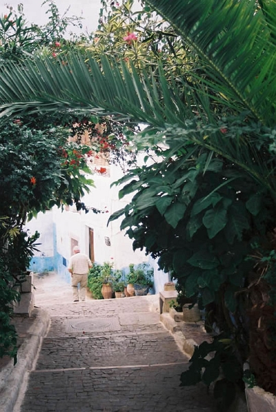 rab0033_JPG.jpg - Jardins
