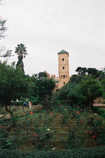 rab0035_JPG.jpg - Jardins