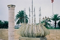 rab0022_JPG