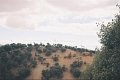 zad004_JPG