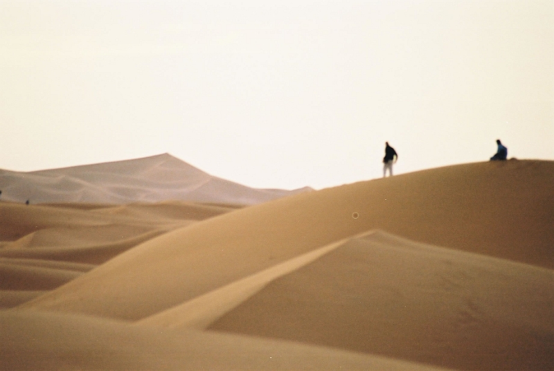 merg009_JPG.jpg - Retour des promeneurs