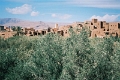 rou0002_JPG