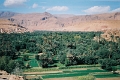 rou0004_JPG