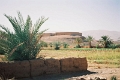 rou0032_JPG