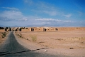 rou0038_JPG