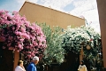 eta002_JPG