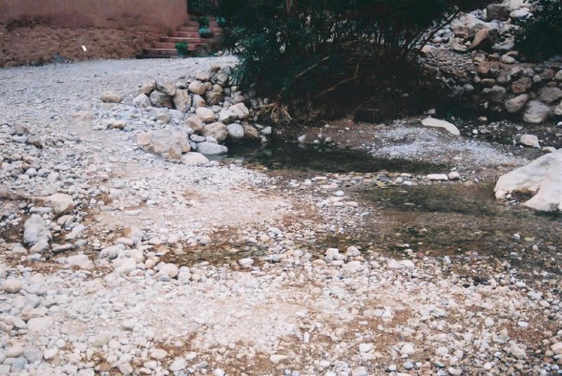 tod012_JPG.jpg - La source du Todra