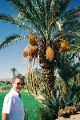 tif0005_JPG