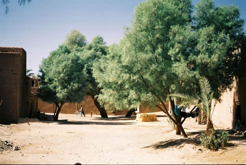 zag003_JPG.jpg - Intérieurd'une habitation
