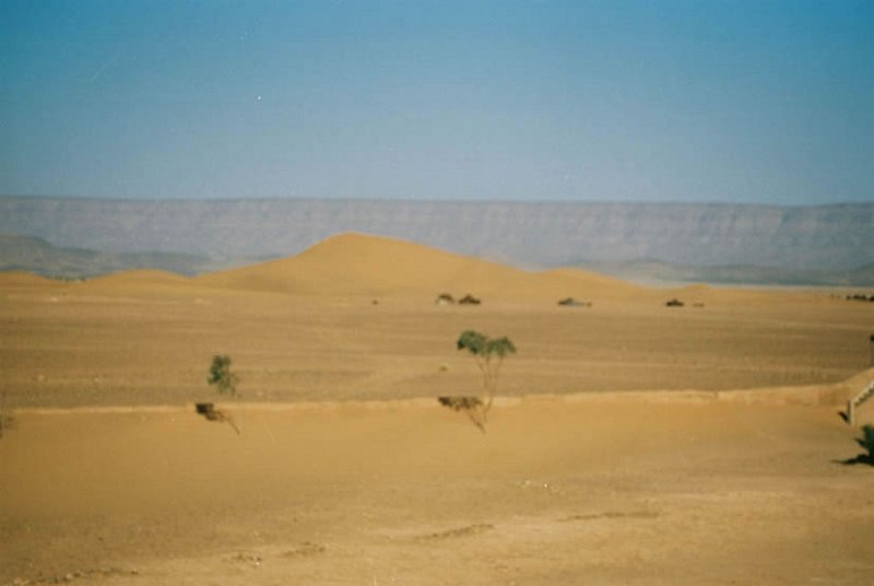 zag018_JPG.jpg - Aux portes du Grand Sud