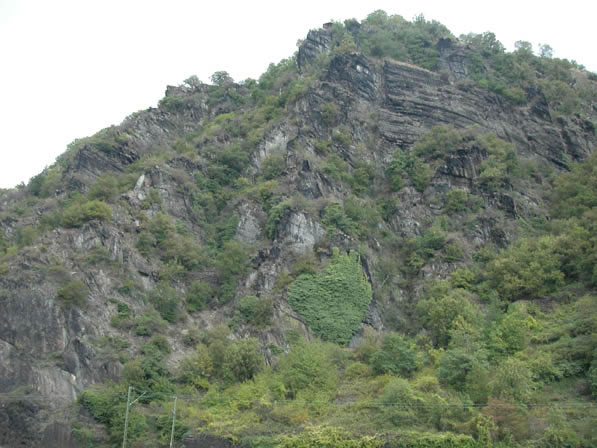 DSCN0051_jpg.jpg