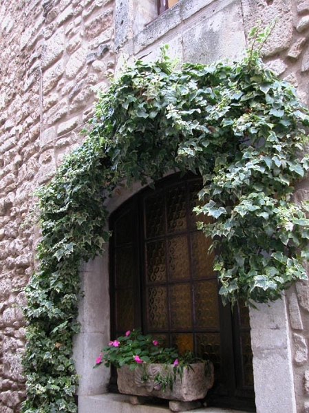saint_remy_0005.jpg