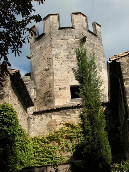 saint_remy_0007.jpg