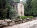 alyscamps_003