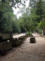 alyscamps_007