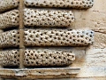 tour_aygues_006