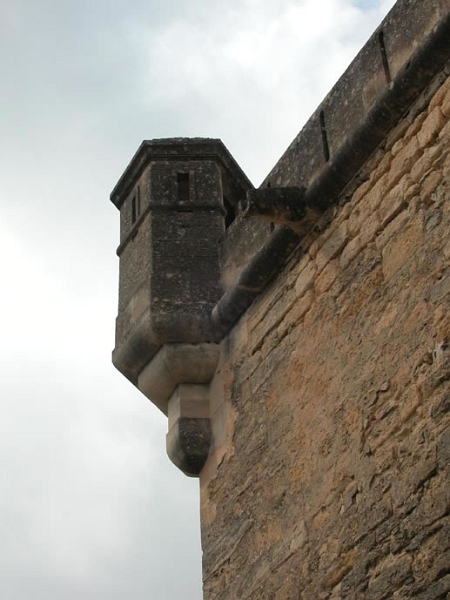 ansuis_009.jpg