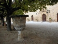 ansuis_004