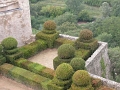 ansuis_006