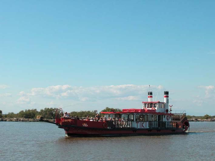 petit_rhone_001.jpg