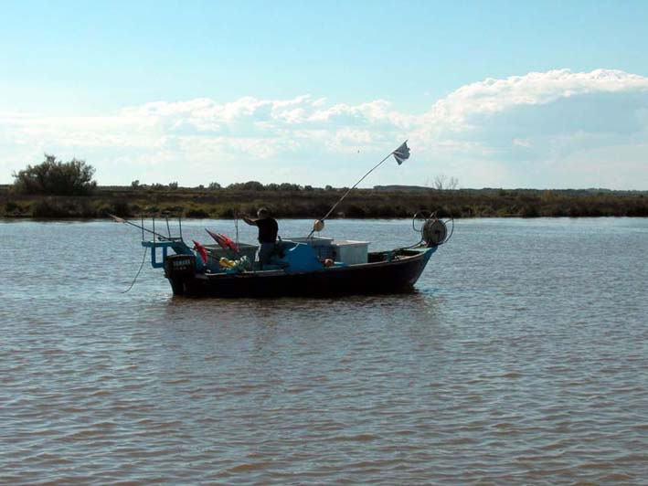 petit_rhone_003.jpg