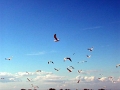 petit_rhone_007