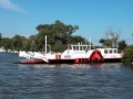 petit_rhone_018