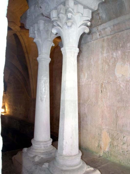 senanque_017.jpg