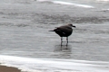 bord_de_mer_004
