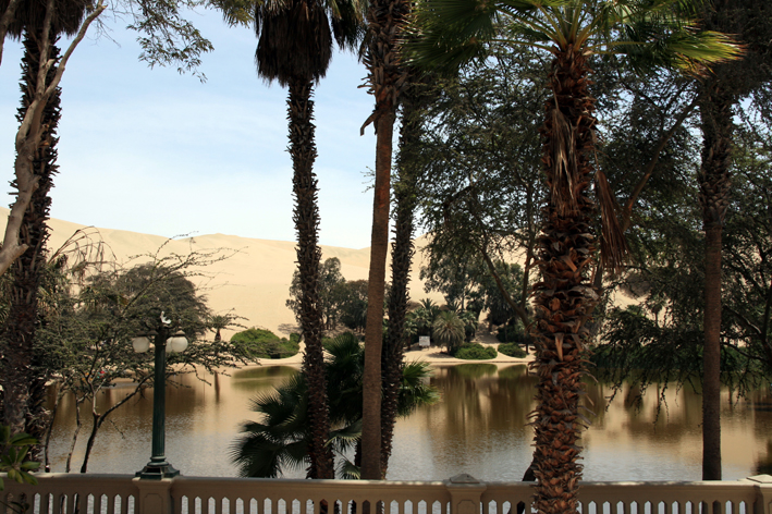 oasis_huacachioaà_002.jpg