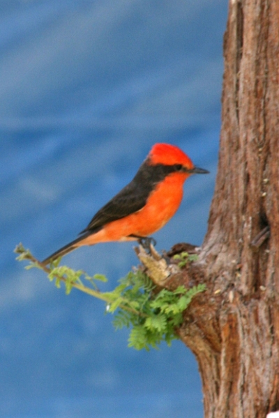 oasis_huacachioaà_011.jpg