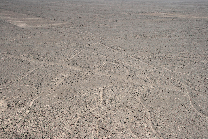 lignes_nazca_002.jpg
