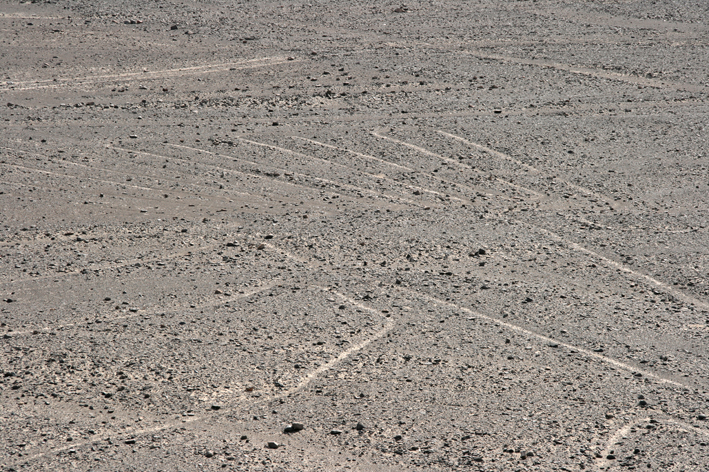 lignes_nazca_003.jpg