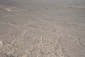 lignes_nazca_002