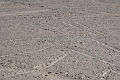 lignes_nazca_003