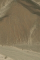 lignes_nazca_009