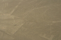lignes_nazca_010