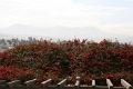 maison_elise_005
