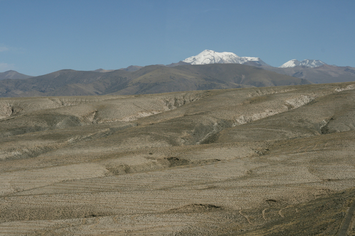 altiplano_008.JPG