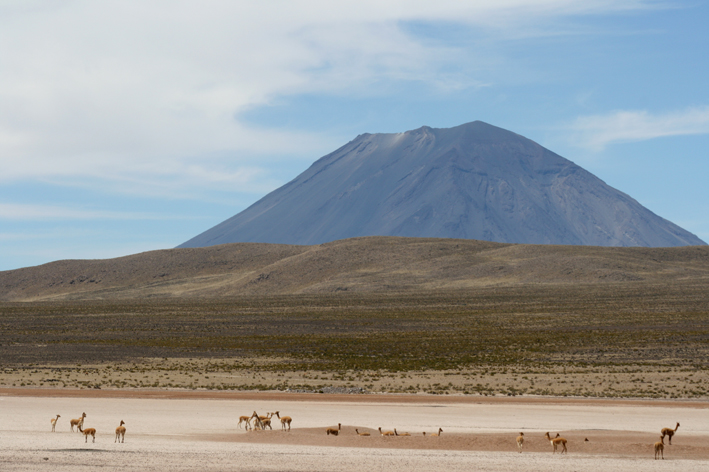altiplano_013.JPG
