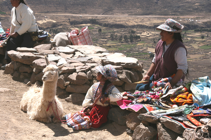 altiplano_032.JPG
