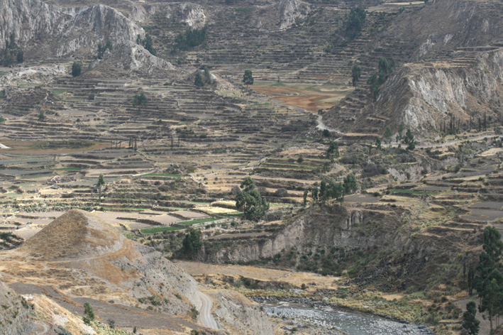 canon_colca_001.JPG