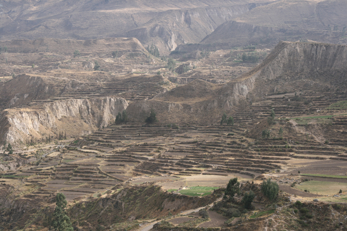 canon_colca_005.JPG