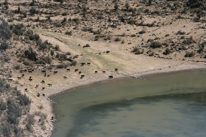 canon_colca_007.JPG