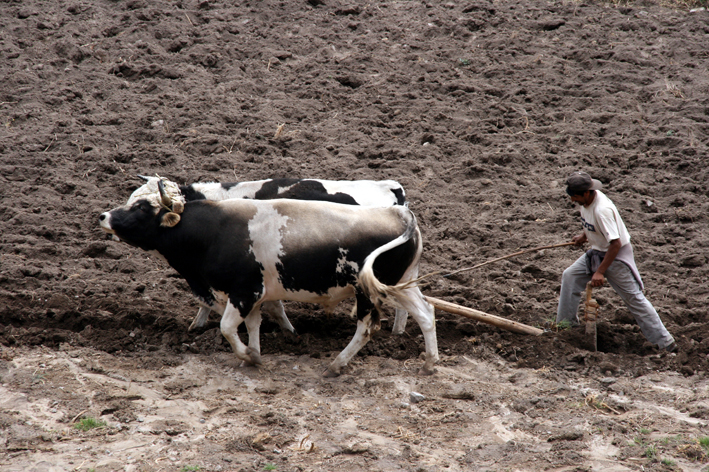 canon_colca_016.JPG