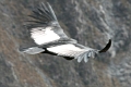 croix_condors_007
