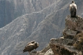 croix_condors_019