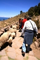 lac_titicaca_026