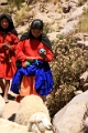 lac_titicaca_027