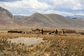 orient_express_018